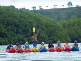  Kauai Tours